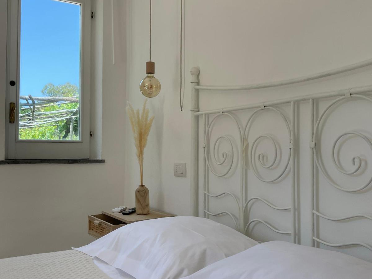 Villa Morea & Rooms In Redang Island Dış mekan fotoğraf